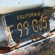 Illustration for article titled How Automated License Plate Readers Threaten Our Privacy
